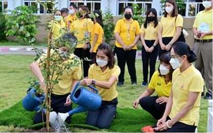 Picture of จังหวัดนครปฐมจัดกิจกรรมปลูกต้นไม้ประจำปีของชาติ